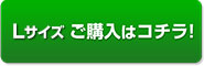 腰　サポーター　スターターセット　Lサイズ ご購入はコチラ