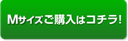 腰　サポーター　スターターセット　Mサイズ ご購入はコチラ