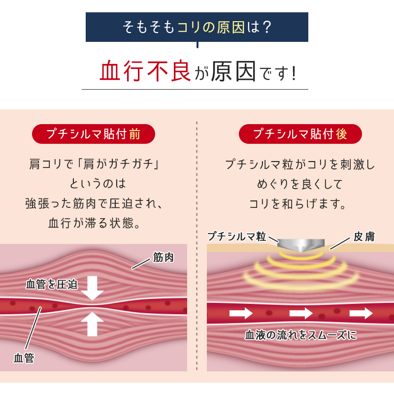 Dr.プチシルマ DX5.5/6粒 | LEDA公式オンラインショップ