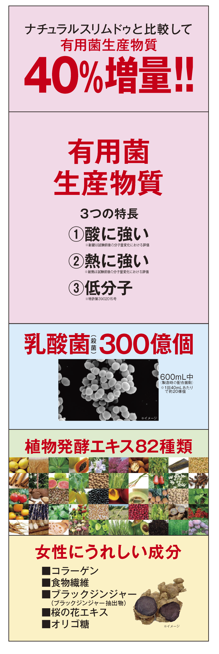 レダの酵素121℃ ナチュラルスリムドゥ40⁺ | LEDA公式オンラインショップ